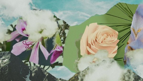 BAUMが樹木の香りのオーデコロンを再発売。持ち運びに便利なミニサイズ3香調が登場