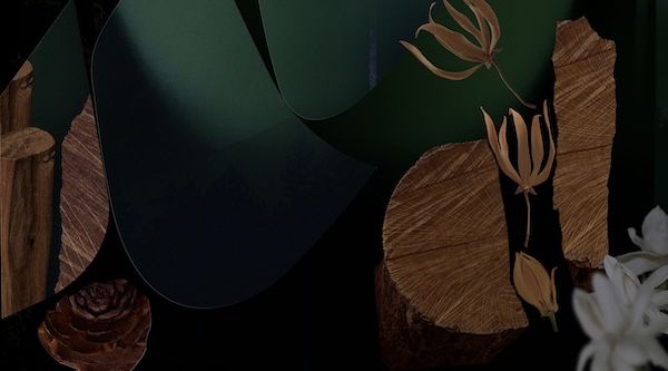 BAUMが樹木の香りのオーデコロンを再発売。持ち運びに便利なミニサイズ3香調が登場