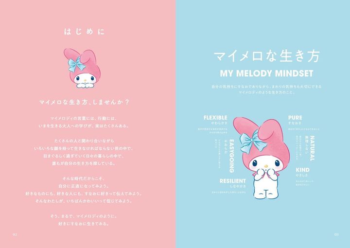 書籍内容イメージ