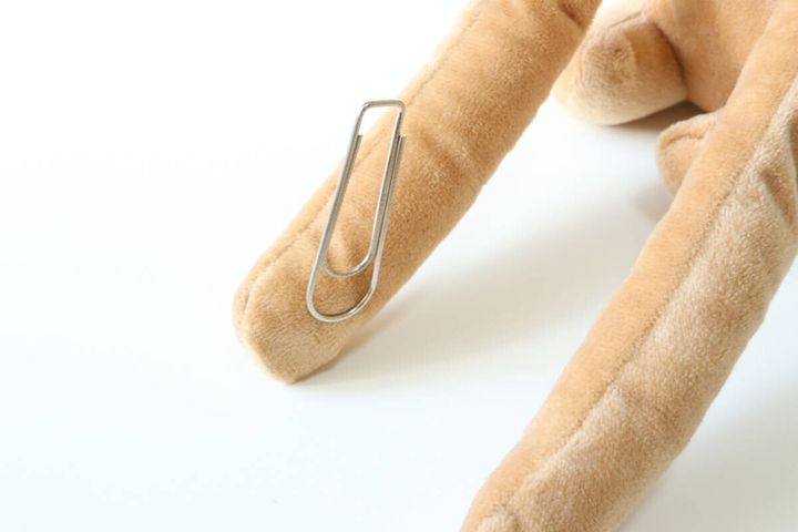 アニマルカーテンタッセル（ナマケモノ） ダイソー 磁石