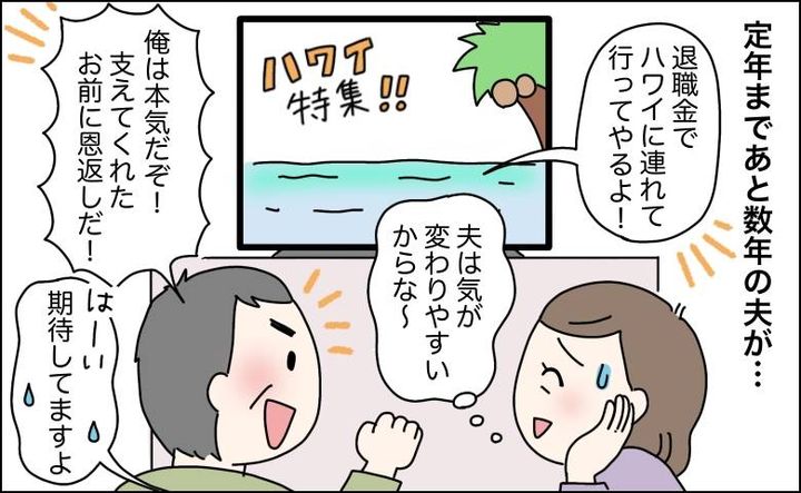 退職金でハワイ旅行すると言ったのに約束を破った夫