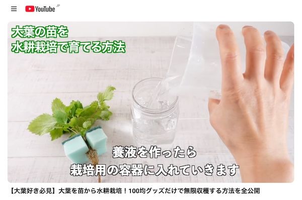 週1回の水やりで育つ水耕栽培ブランド「WOOTANG」がECサイトをリニューアル！