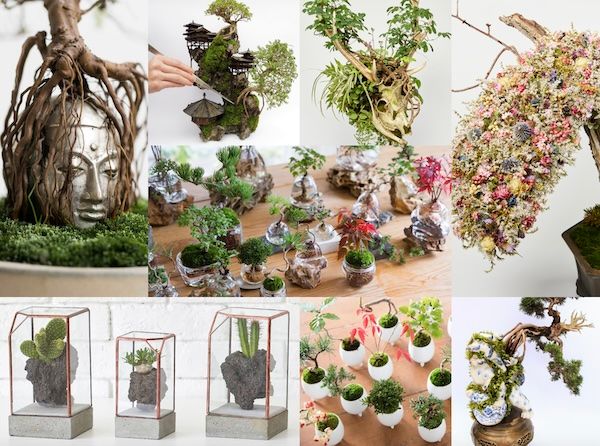 週1回の水やりで育つ水耕栽培ブランド「WOOTANG」がECサイトをリニューアル！