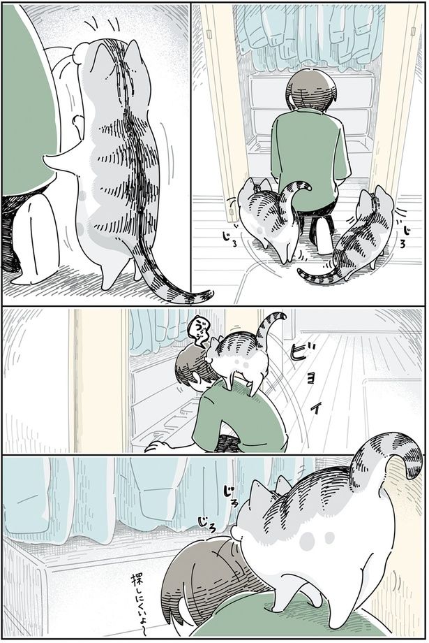 探しにくいよ〜 （C）キュルZ／KADOKAWA