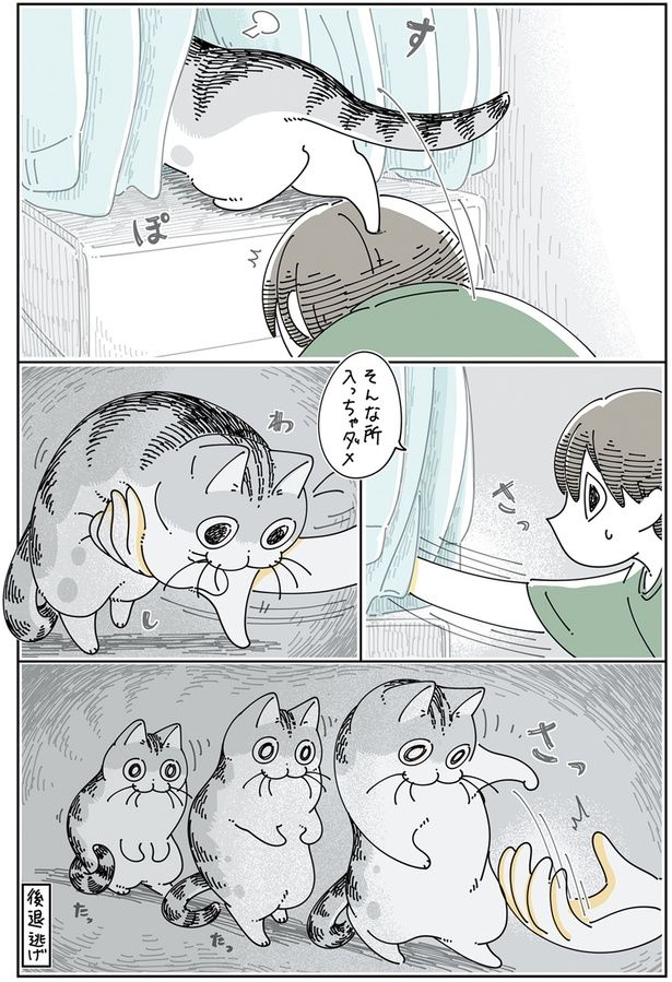 後退逃げ （C）キュルZ／KADOKAWA