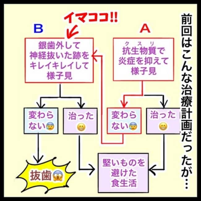 銀歯の下の悲劇／へそ