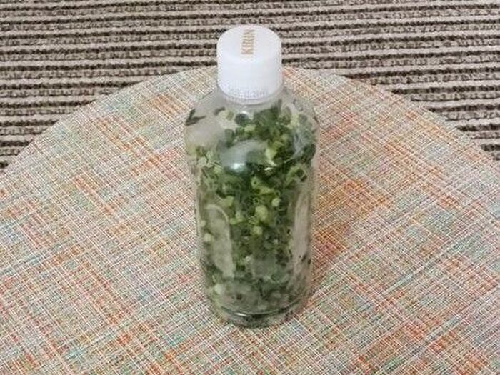 ペットボトルで保存すると便利な野菜。『シャカシャカ方式』がおすすめなんです♪