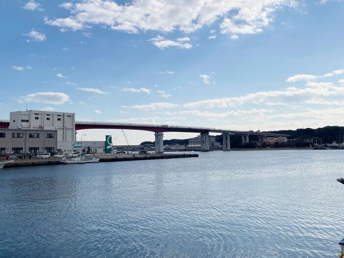 生産量は1%未満！？幻の「三浦大根」がゴロッと入った和風カレーが誕生。石井食品×三浦市×農協コラボ【観光レポ付き】