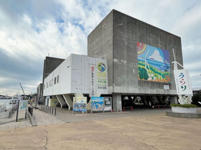 生産量は1%未満！？幻の「三浦大根」がゴロッと入った和風カレーが誕生。石井食品×三浦市×農協コラボ【観光レポ付き】