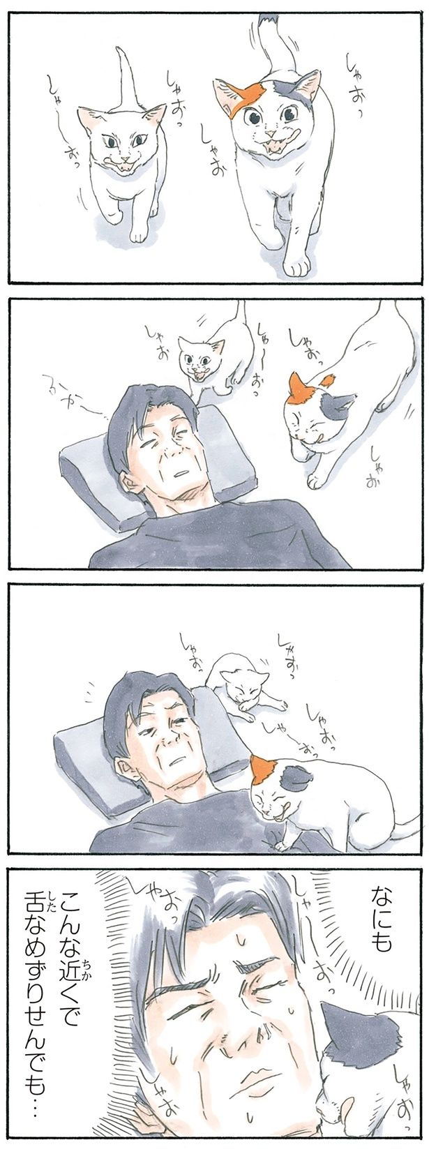 舌なめずり （C）にごたろ／KADOKAWA