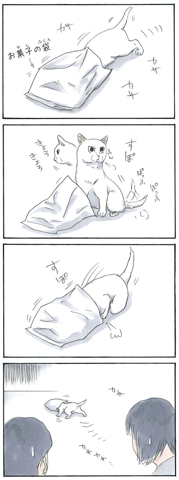 謎行動 （C）にごたろ／KADOKAWA