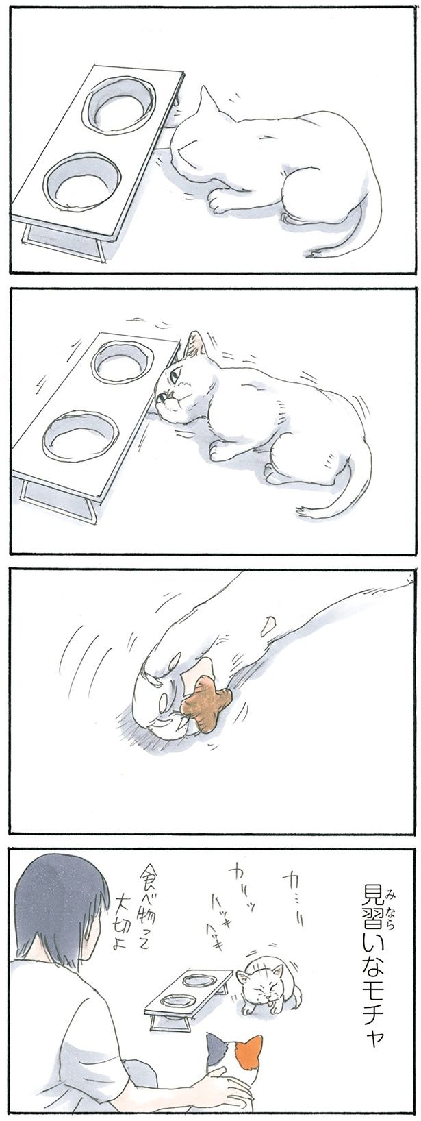 食べ物 （C）にごたろ／KADOKAWA