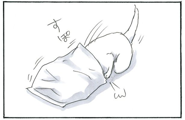 お菓子の袋をかぶって… （C）にごたろ／KADOKAWA