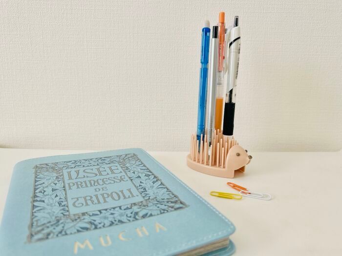 100均で1000円使う人が「絶対買って欲しい〈激かわグッズ〉」3選。なくなる前に即カゴへ！