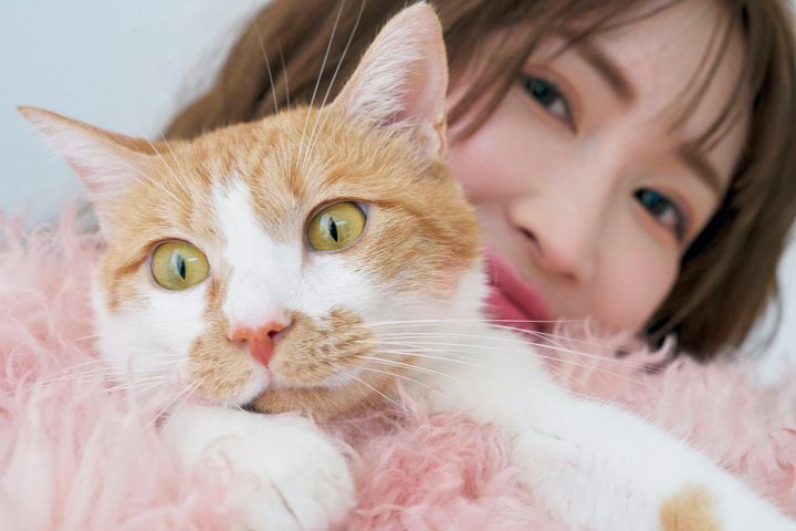 紗栄子と猫