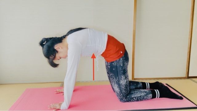 “背中・腰”集中ストレッチピラティス