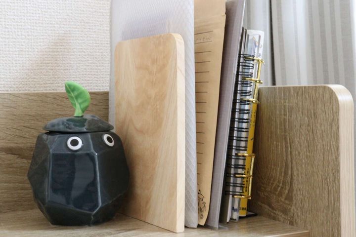 ブックエンド（ゴムの木） 使用例