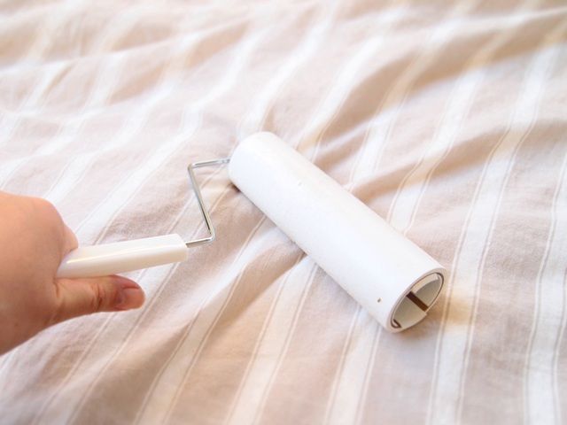 ダイソー 粘着シートクリーナー コロコロ掃除のメリット