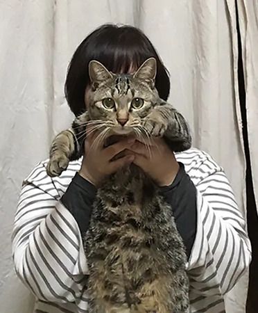 シリーズ最新作絵本『うろおぼえ一家のおでかけ』発売！都内記念イベントやSNS企画も