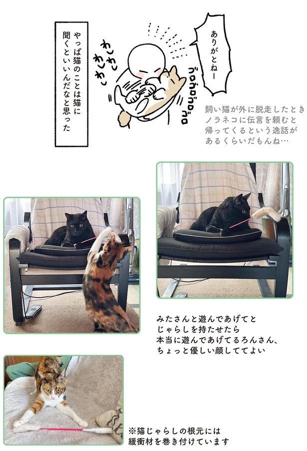 猫のことは猫に聞くといいんだなと思った （C）AKR／KADOKAWA