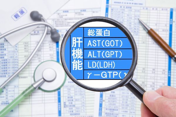 γ-GTP（γ-GT）とは？