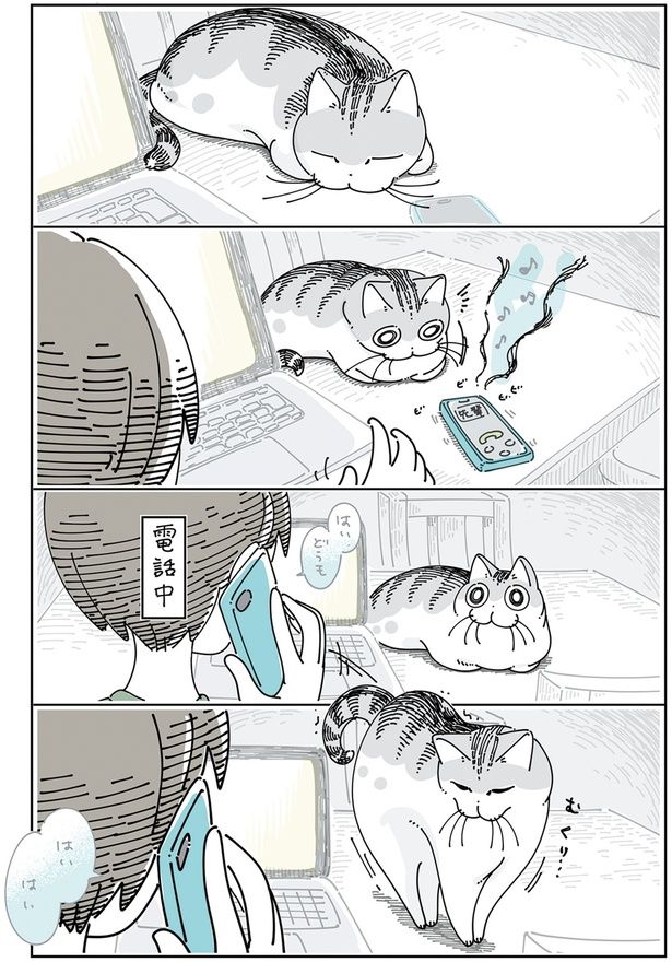 電話が気に入らないっぽいネコ （C）キュルZ／KADOKAWA