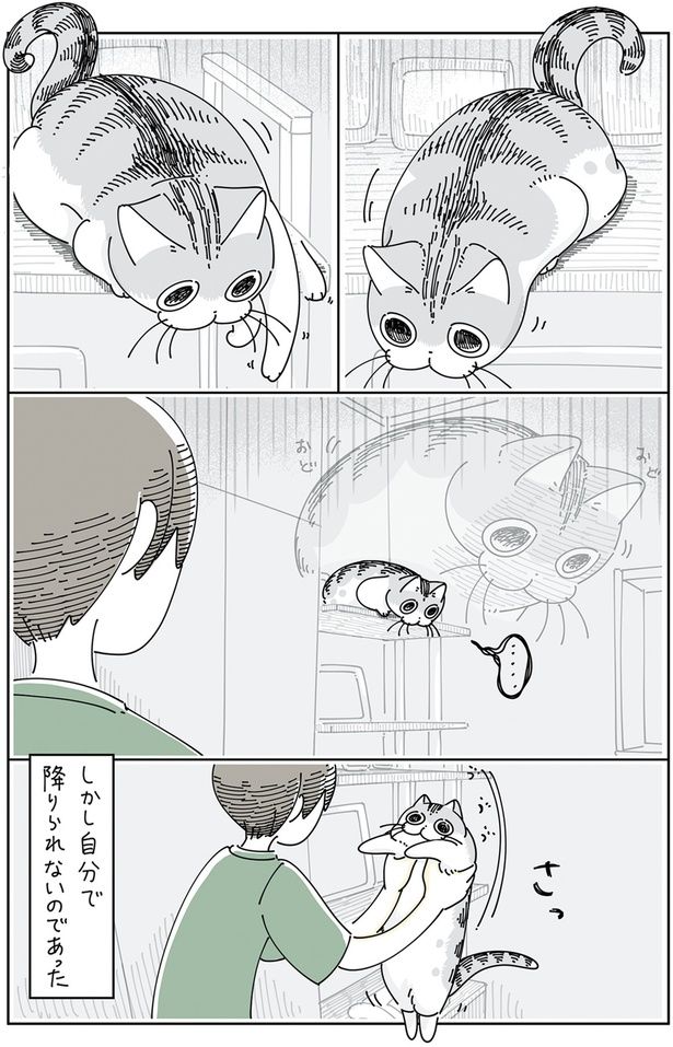 しかし自分で降りられない （C）キュルZ／KADOKAWA