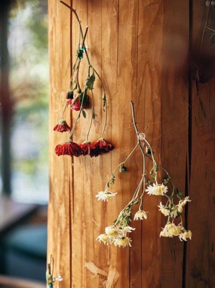 江戸菊(上)とミヤマハハコグサ(下)はのり子さんの好きな花。「小さい頃、きれいな瓶を見つけては、そこに草花を飾るのが好きだったの。今の暮らしもその延長かしらね」