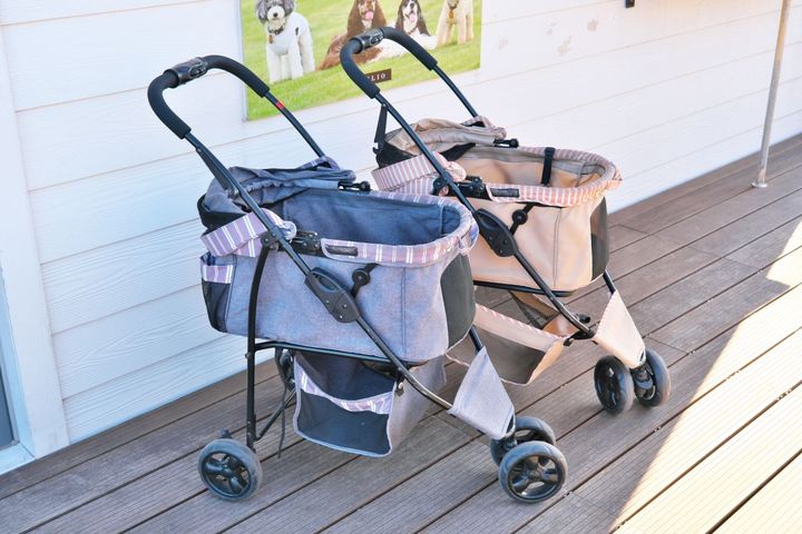 ILIOのペットカートレンタルは1時間500円、5時間パック2000円など