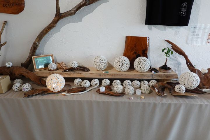 屋久島で獲れたサンゴを使用した『ランプシェード』（小サイズ5000円、大サイズ12800円 ※どちらもランプ付き）