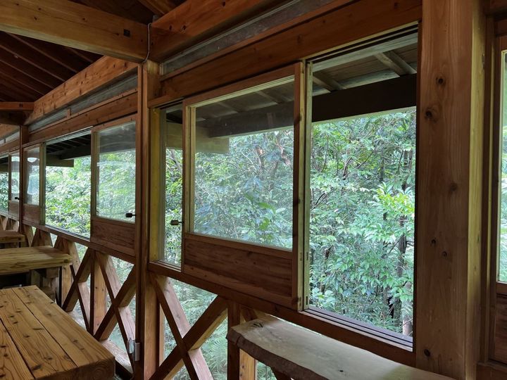 窓の外に緑いっぱいの景色が見える