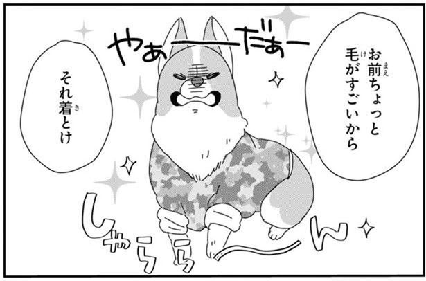 これから寒くなるのに！季節の変わり目に感じる犬飼いの憂うつ (C)らくだ／KADOKAWA