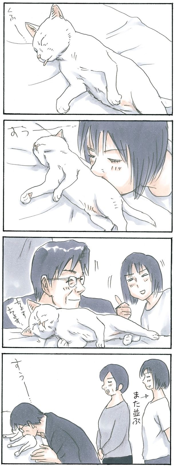 行列のできる猫 （C）にごたろ／KADOKAWA