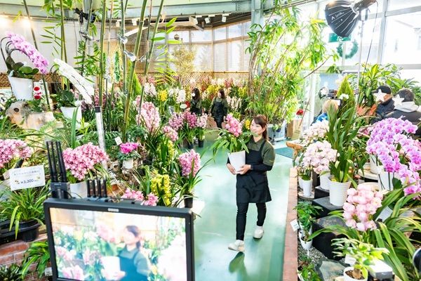 シンビジウムの品種改良や育苗、栽培などを手掛ける河野メリクロンがCM放送を開始