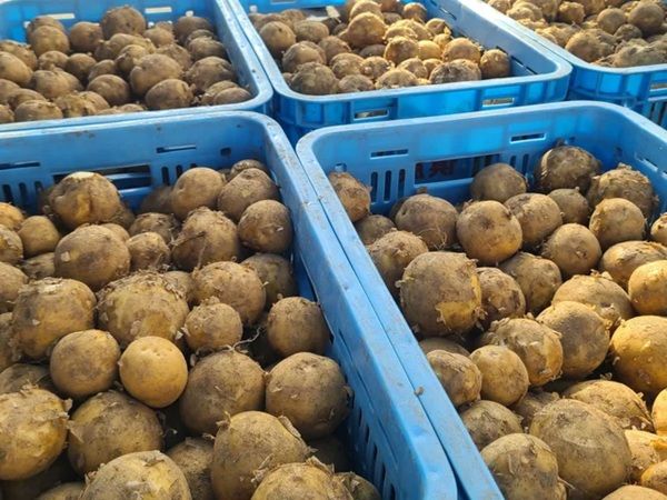 「RAMS CHOCOLATE」の新作は北海道の特産品・ベルギー文化を表現したショコラ！