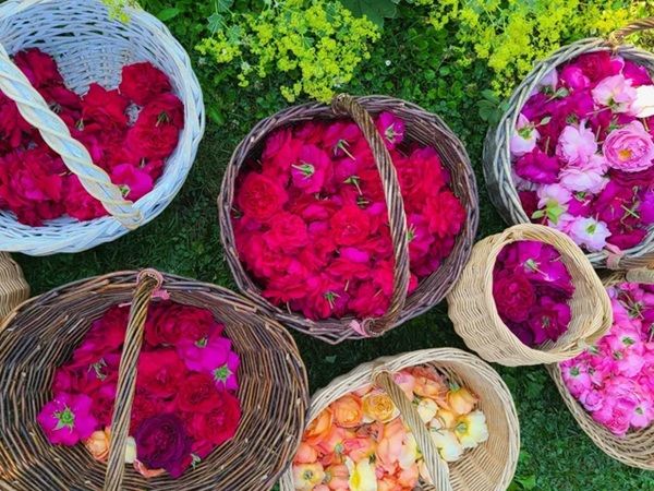 「RAMS CHOCOLATE」の新作は北海道の特産品・ベルギー文化を表現したショコラ！