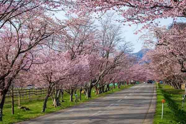 北海道・浦河町