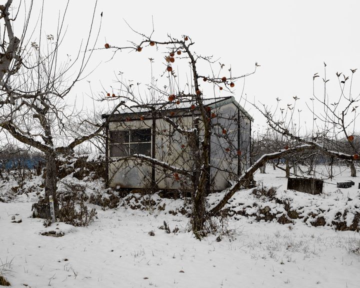 長野県 須坂市 2018年1月9日