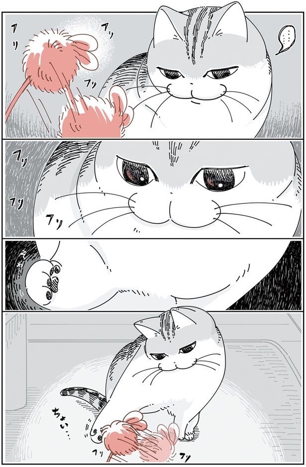 ちょい… （C）キュルZ／KADOKAWA