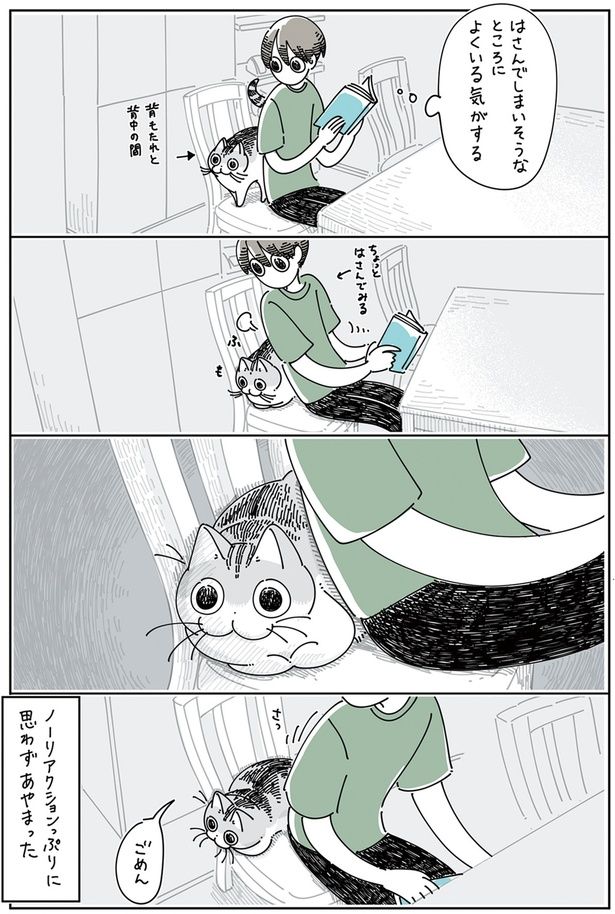 ノーリアクションっぷりに （C）キュルZ／KADOKAWA