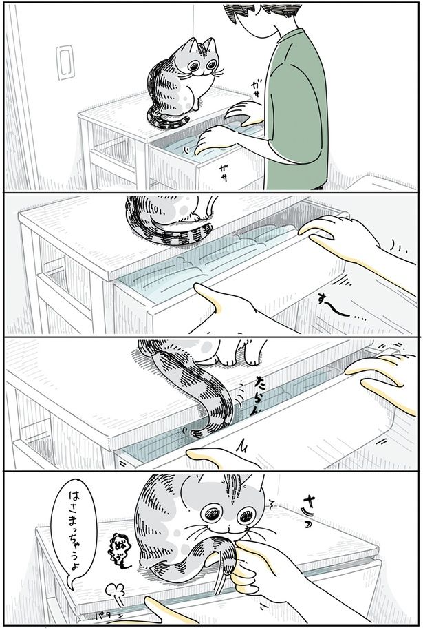 はさまっちゃうよ （C）キュルZ／KADOKAWA