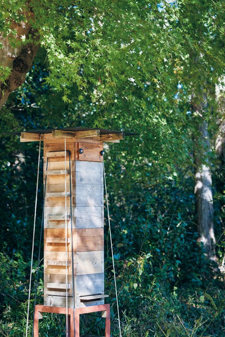 巣箱は全部で5棟。「家族と友人で食べるだけですが養蜂家の届け出も出しました。巣箱からいただくハチミツは各棟1箱分だけ。残りはミツバチ自身が冬を越すための栄養分として残しています」