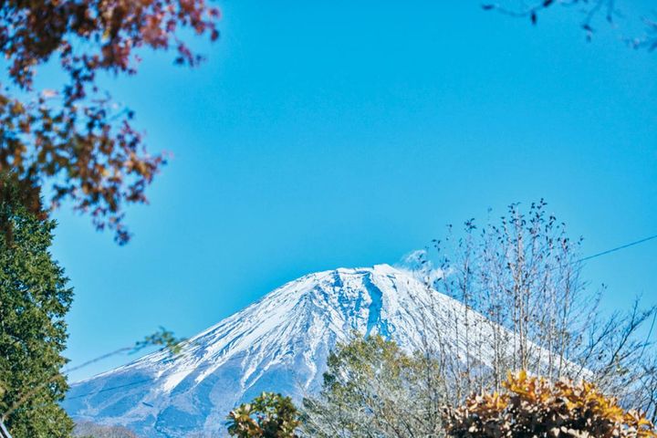 庭から見える富士山。