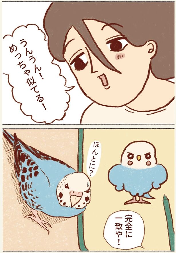 めっちゃ似てる！ （C）谷小夏／KADOKAWA