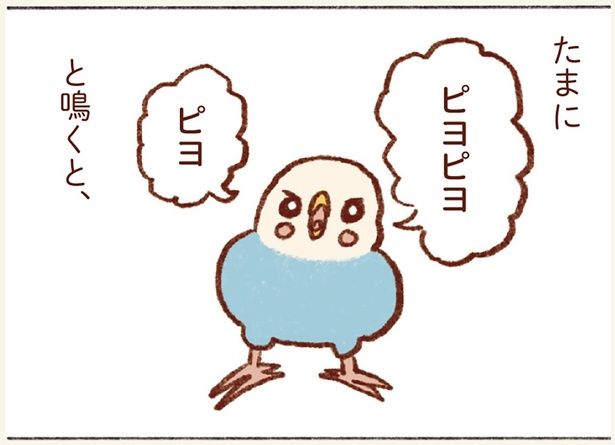 ピヨピヨと鳴くと… （C）谷小夏／KADOKAWA