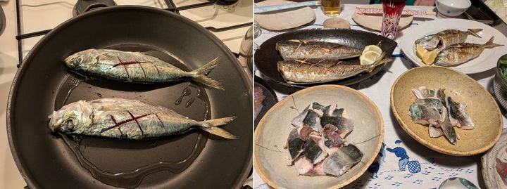 写真左）加熱したフライパンに油をしき、皿に盛ったときに表になる側をまず軽く焼く。ときどきフライパンをゆすると皮がくっつきにくくなります／写真右）左奥から時計回りに、ムロアジの塩焼き、湯煮、メアジの湯煮、塩焼き。同時並行で食べると味の違いがわかります