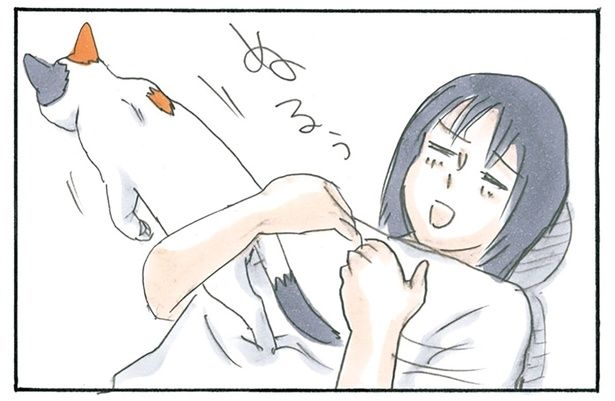 呼びかけに答えてくれたと思ったら… （C）にごたろ／KADOKAWA