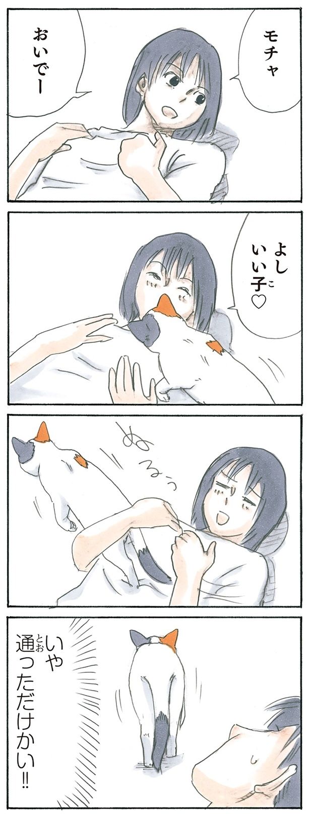 来ましたけど？ （C）にごたろ／KADOKAWA