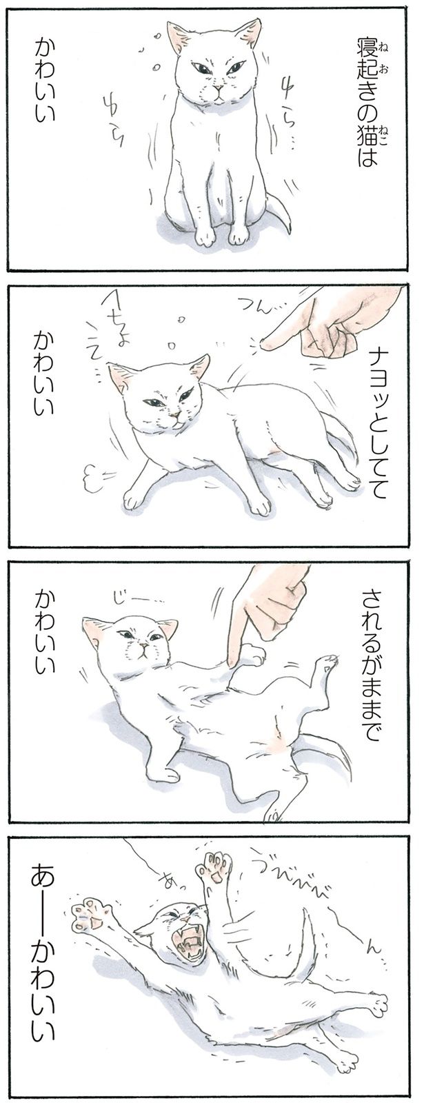 寝起きの猫は （C）にごたろ／KADOKAWA