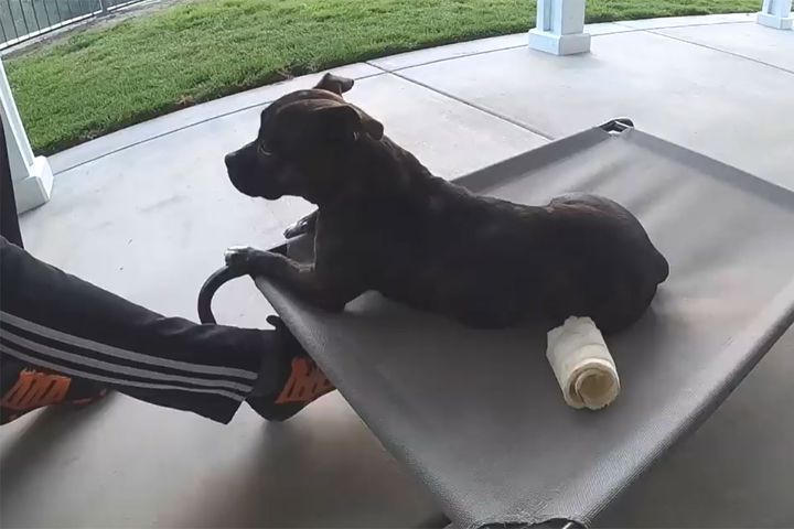 出典：PUDDY AND FRANK